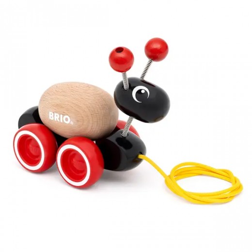 Іграшка-каталка BRIO Мурашка