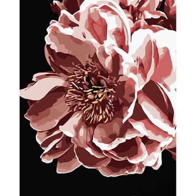 Картина за номерами Strateg ПРЕМІУМ Нічна квітка на чорному фоні розміром 40х50 см (AH1039)