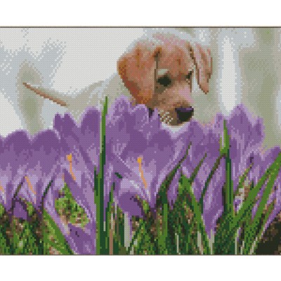 Алмазна мозаїка Strateg ПРЕМІУМ Песик над фіолетовими квітами розміром 30х40 см (KB021)