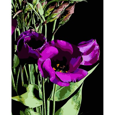 Картина за номерами Strateg ПРЕМІУМ Фіолетові квітки на чорному фоні розміром 40х50 см (AH1036)