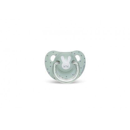 Пустышка анатомическая, 18+ Suavinex Уютные истории, бирюзовый зайчик