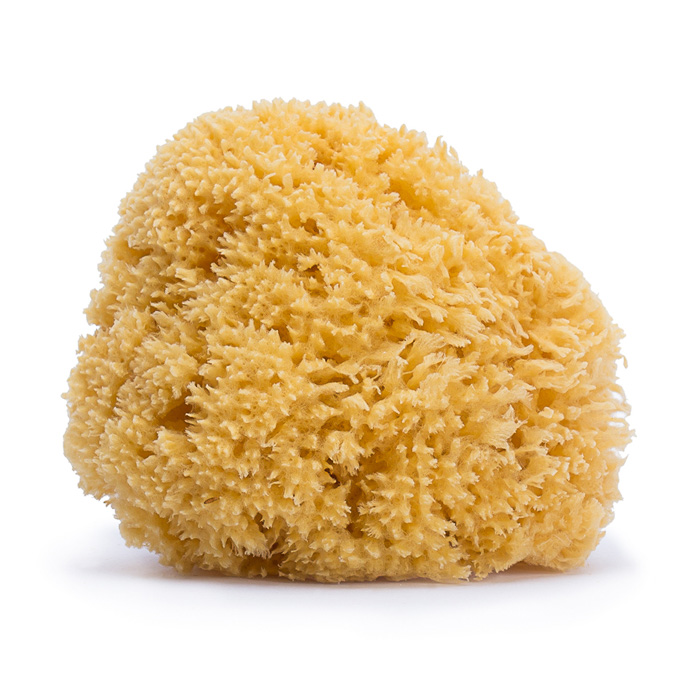 Губка для купання Suavinex велика для всієї родини