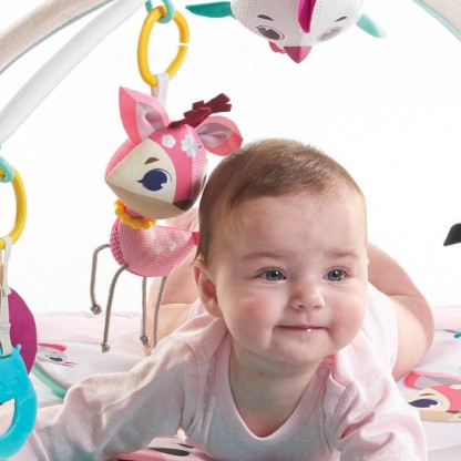 Килимок з дугами Tiny Love «Мрії принцеси»