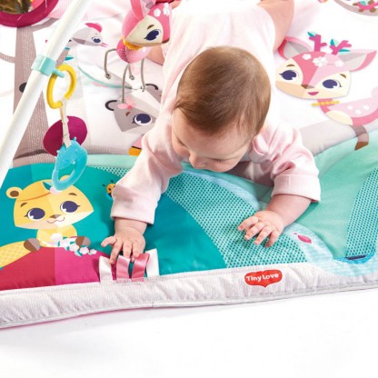 Килимок з дугами Tiny Love «Мрії принцеси»