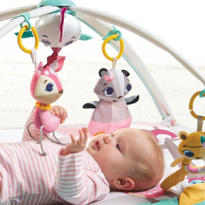 Килимок з дугами Tiny Love «Мрії принцеси»