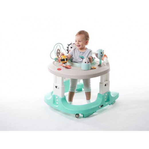 Развивающий центр 4 в 1 "Ночная Поляна"