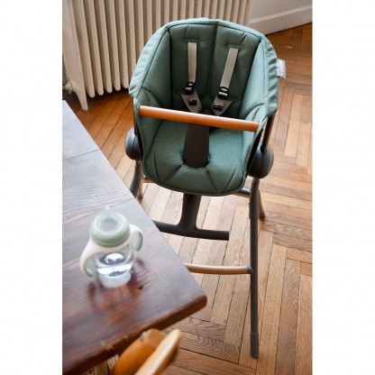 Сидіння для стільчика для годування Beaba Up & Down зелений, арт. 915041